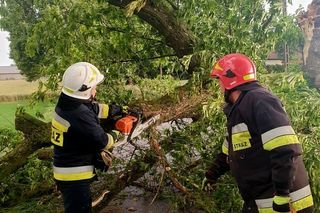Potężna burza przeszła przez Bydgoszcz i region. Ponad 400 interwencji strażaków!