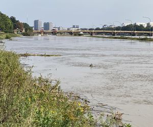 Wrocław - Odra wysoki poziom wody przy porcie miejskim (czwartek, 19.09)