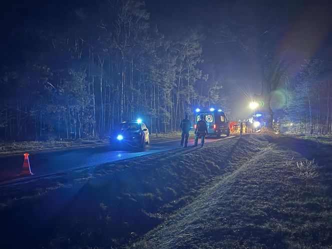 Śmierć na drodze pod Wołominem