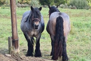 Jesień w Bieszczadach