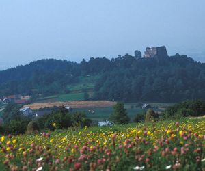 Zamek w Odrzykoniu koło Krosna na Podkarpaciu