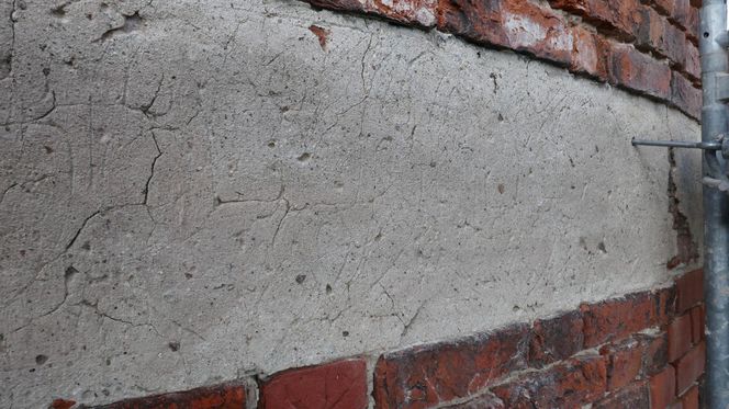 To wyjątkowy symbol miasta pod Olsztynem. Na jego szczycie znajduje się… gniazdo