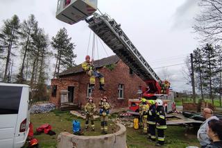 Strażacy uratowali kozę