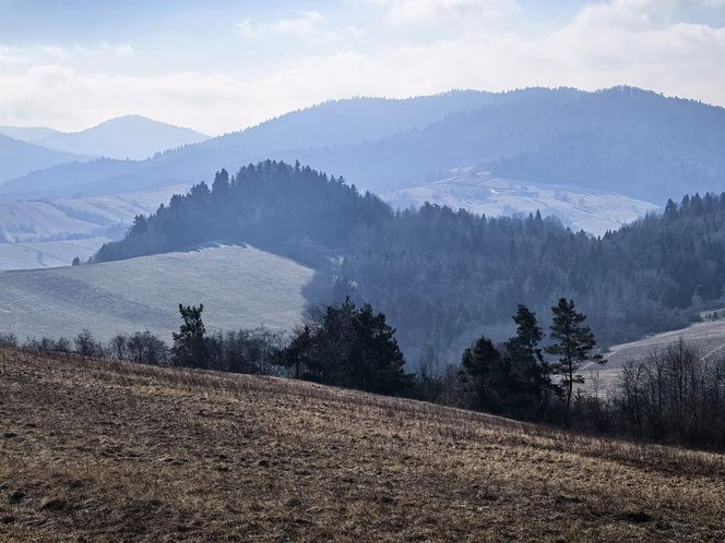 Czy to już koniec zimy w Bieszczadach? 