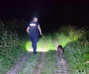  ZŁodzieje ukradli pitbulla.