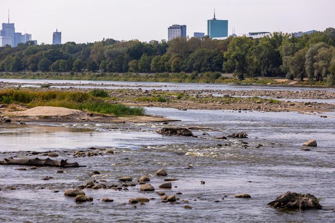 Wisła wysycha - rekordowo nisko poziom wody. Zobacz zdjęcia