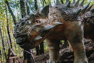 W Parku Jacka Kuronia pojawiły się pierwsze dinozaury