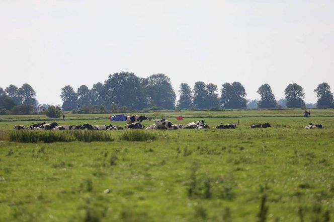 Rosyjski dron znaleziony w Oleśnie