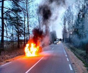 Pożar samochodu na DW 648 w okolicy miejscowości Serwatki. Pojazd spłonął niemal doszczętnie