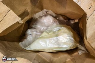 Wspólna akcja CBŚP i Małopolskiej Policji przeciw przestępczości narkotykowej