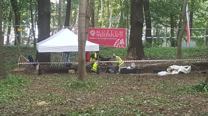 Na Westerplatte znaleziono ponad 200 szczątków kostnych