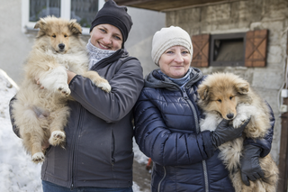 Rolnicy. Podlasie - odcinek 7. Premiera 25 kwietnia