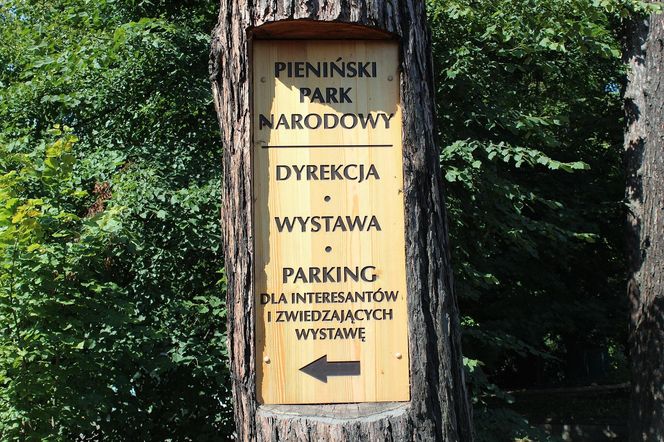 AI wybrała najlepsze miejsce na jesienny weekend w Małopolsce. Dla podróżników jest kultowe!