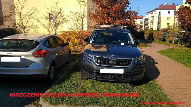 Mistrzowie parkowania z Gliwic! [ZDJĘCIA]