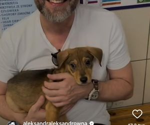 Te psy skradły serca gwiazd! Niektóre wyglądają jak z bajk