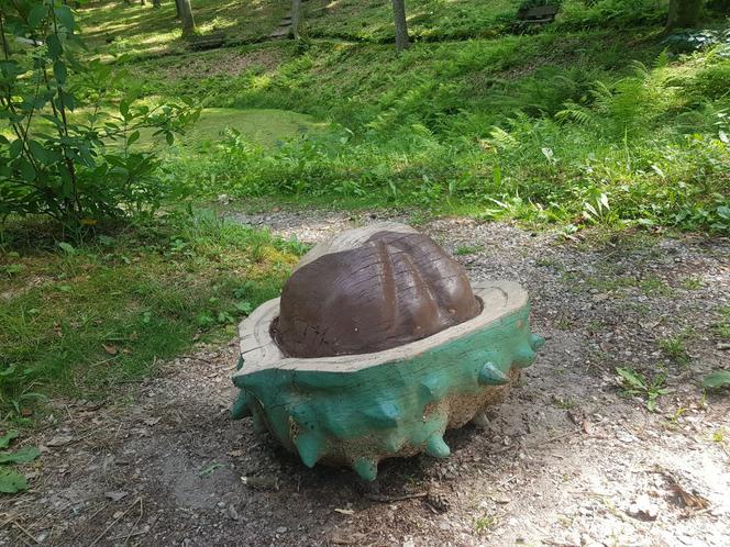 Leśne Arboretum Warmii i Mazur w Kudypach