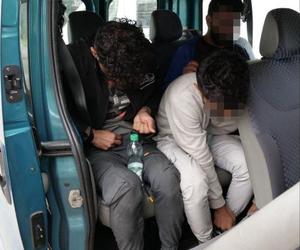 14 migrantów zatrzymanych przez funkcjonariuszy Straży Granicznej z Tuplic