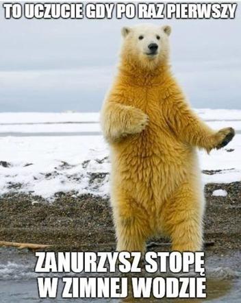 Sezon na MORSOWANIE otwarty! Zobacz najlepsze MEMY!