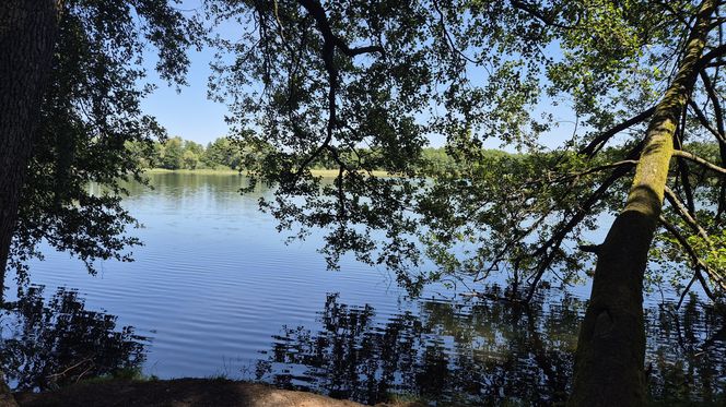 To jedno z największych jezior w Olsztynie. Kusi turystów piaszczystymi plażami
