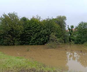 Ząbkowice Śląskie (woj. dolnośląskie)