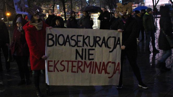 Szczecinianie protestowali przeciwko odstrzałowi dzików