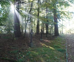 Zapomniany cmentarz wojskowy położony w środku lasu. Pochowano tam około 800 niemieckich żołnierzy [ZDJĘCIA]