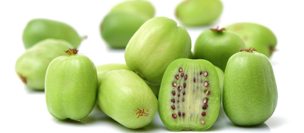Mini kiwi
