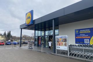 Wyjątkowa promocja na karpia w Lidlu