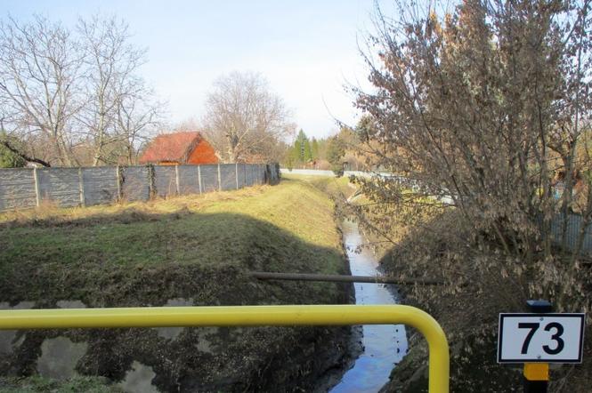 Strażnicy miejscy odkryli skażoną wodę w kanałku obok lotniska!