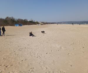 Mieszkańcy korzystają ze słonecznej pogody. Na plaży w Jelitkowie widać już pierwszych spacerowiczów!