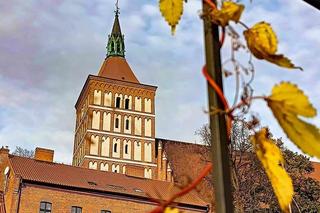 Zabytkowa katedra św. Jakuba w Olsztynie zostanie wyremontowana. Takich prac nie było od 100 lat [ZDJĘCIA]
