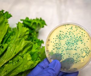 Salmonella już się panoszy. Jak zminimalizować ryzyko zachorowania