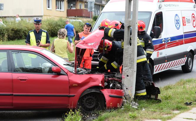 Kot rozbił auto i uciekł