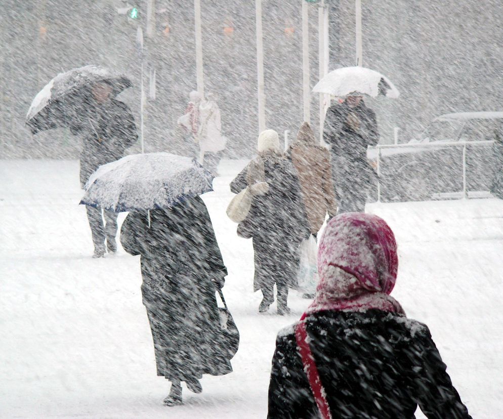 Ludzie idą przez miasto podczas obfitych opadów śniegu. Trzymają parasole, aby chronić się przed padającym gęsto białym puchem. Widok od tyłu osoby w czerwonej czapce i czarnej kurtce. Na Poradnik Zdrowie przeczytasz, jak przygotować się na mroźną zimę.