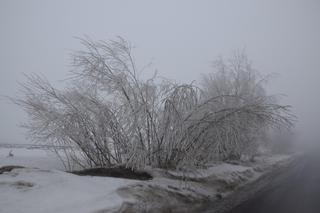 Wyjątkowe miejsce w Małopolsce. To tam znaleziono najstarsze ślady człowieka 