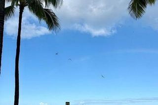 Hawaje, bikini i fale! Anita Werner zaskoczyła odważnym hobby