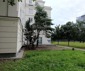  Żyją w symbiozie z gołębiami i kotami. Agresywne gryzonie opanowały blok w Warszawie