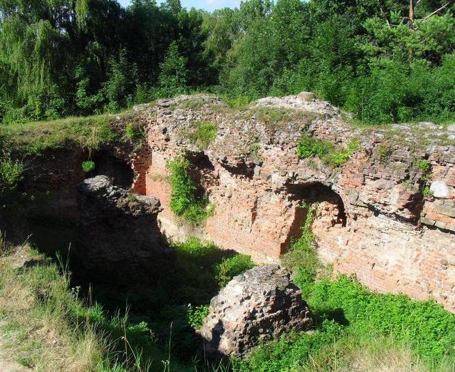 Książę traci majątek w Tarnowie. Kiedyś stała tam skocznia narciarska. Wyrok sądu na korzyść miasta
