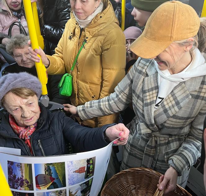 W gorzowskich autobusach elektrycznych przedstawiciele miasta rozdawali kubki i kalendarze