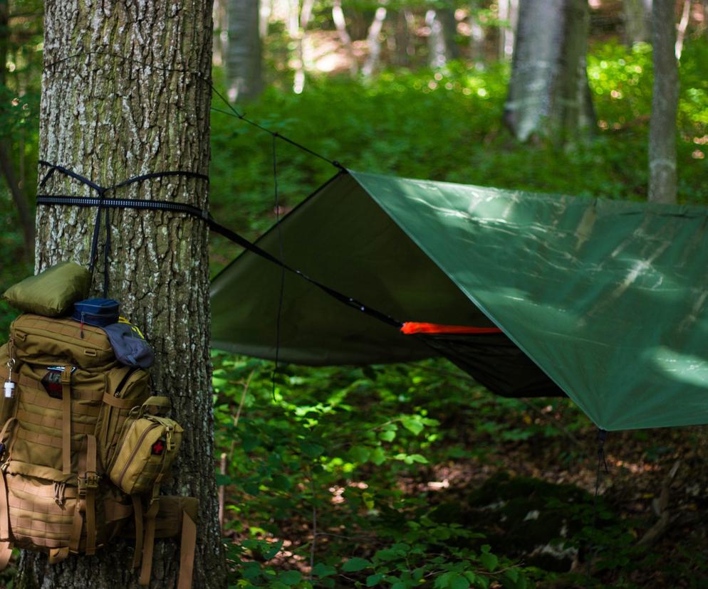 „Zanocuj w lesie” są chętni na biwak? Gdzie Nadleśnictwo Bełchatów pozwala rozbić namiot?