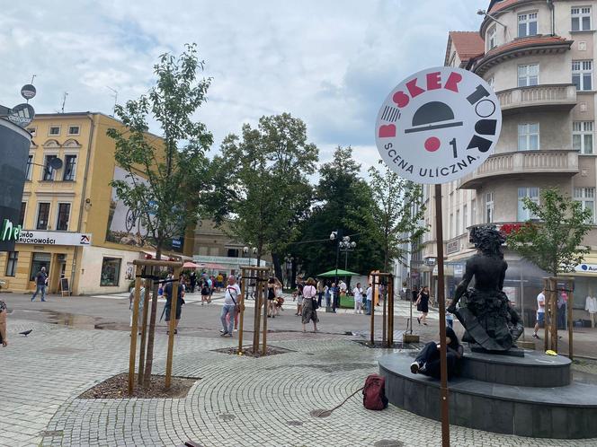 Busker Tour2023 zawitał do Zielonej Góry. Mamy zdjęcia z tego wydarzenia. Oto jak wyglądał pierwszy dzień 