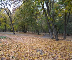 Park Lubomirskich w Białymstoku jesienią 