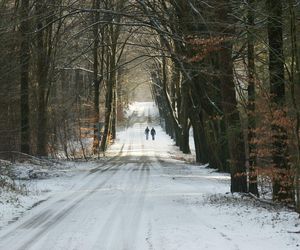 Burze, deszcz i śnieg to nie wszystko. Eksperci nie mają dobrych wieści [Prognoza IMGW na 28.11.2024]