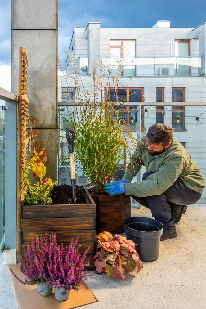 Jesienna metamorfoza balkonu