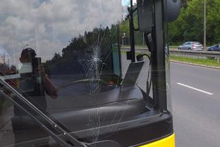 Marki. PIJANY pasażer uszkodził szybę w autobusie. NIE UWIERZYSZ dlaczego! 