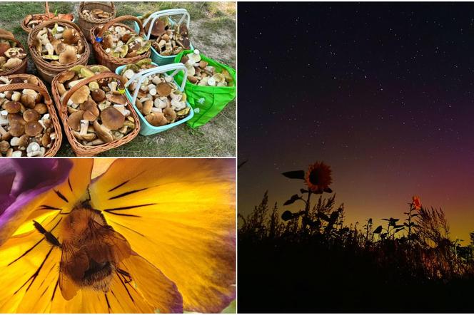 Światowy Dzień Fotografii. Z tych fotek są dumni nasi Czytelnicy! ZOBACZ