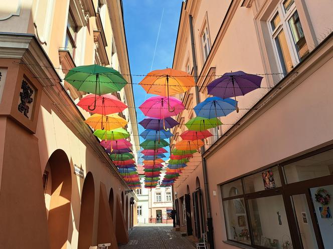 Tarnowskie Umbrella Sky na ul. Piekarskiej