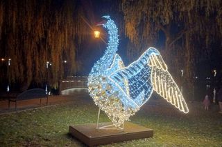 Miasto płonie... iluminacjami świątecznymi! Zobacz, jak pięknie wygląda Gdańsk