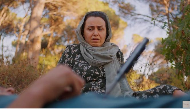 Miłość i nadzieja odc. 259. Alper, Cavidan