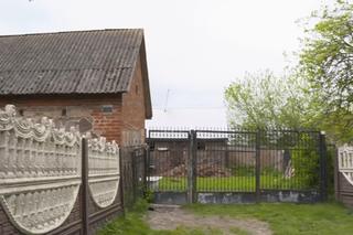 Chłopaki do wzięcia dom Henia